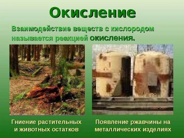 Бактерии гниения. Гниение растительных остатков это химическое или физическое. Из приведенных явлений выпишите те которые относятся к химическим. Процесс разложения и гниения. Гниение растительных остатков это химическое или физическое.