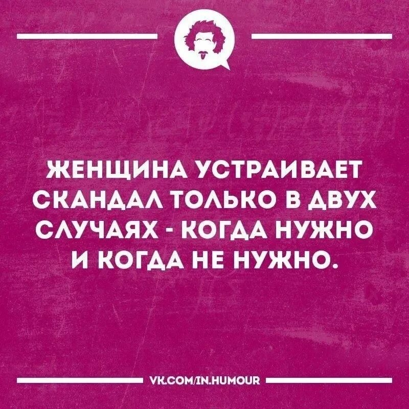 Про скандальных женщин афоризмы. Цитаты. Юмором про скандальных женщин. Скандал юмор. Цитаты про скандальных женщин
