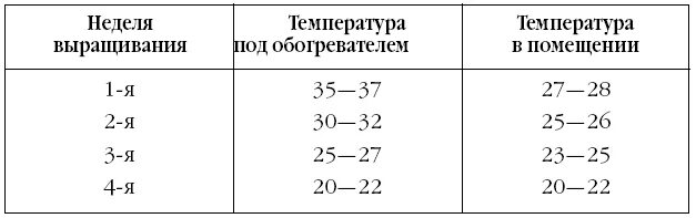 Таблица температурный режим выращивания индюшат. Температурный режим для цыплят бройлеров с первых дней жизни таблица. Температурный режим выращивания индюков таблица. Температурный режим для цыплят индюшат таблица.