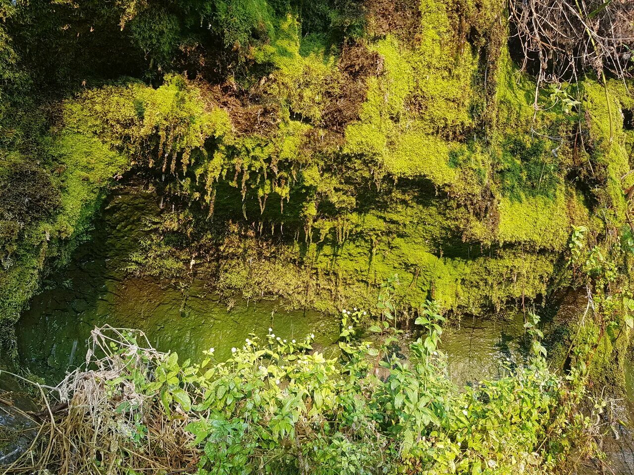 Водопады саратовской