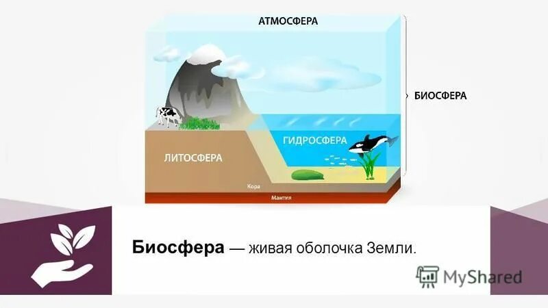 Биосфера производство. Атмосфера гидросфера литосфера. Атмосфера Биосфера литосфера. Биосфера литосфера гидросфера. Биосфера картинки.