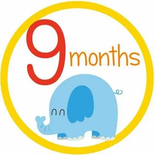 20 августа 9 месяцев