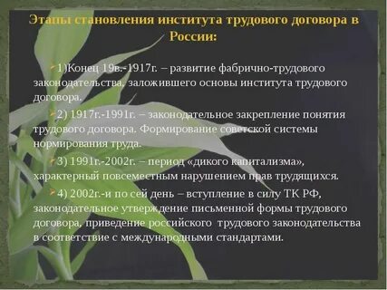 История развития трудового