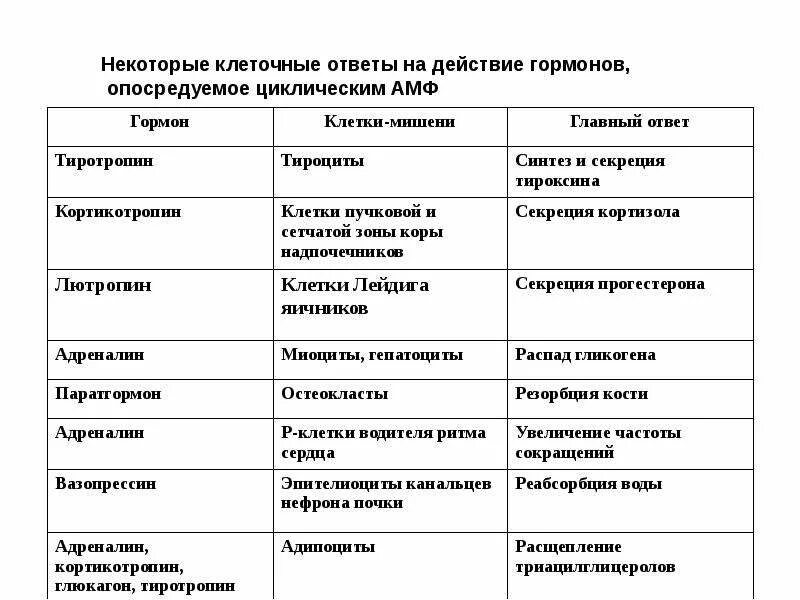 Орган мишень щитовидной железы. Механизм действия гормонов таблица. Клетки мишени гормонов. Клетки мишени гормонов таблица. Гормоны и их органы мишени таблица.