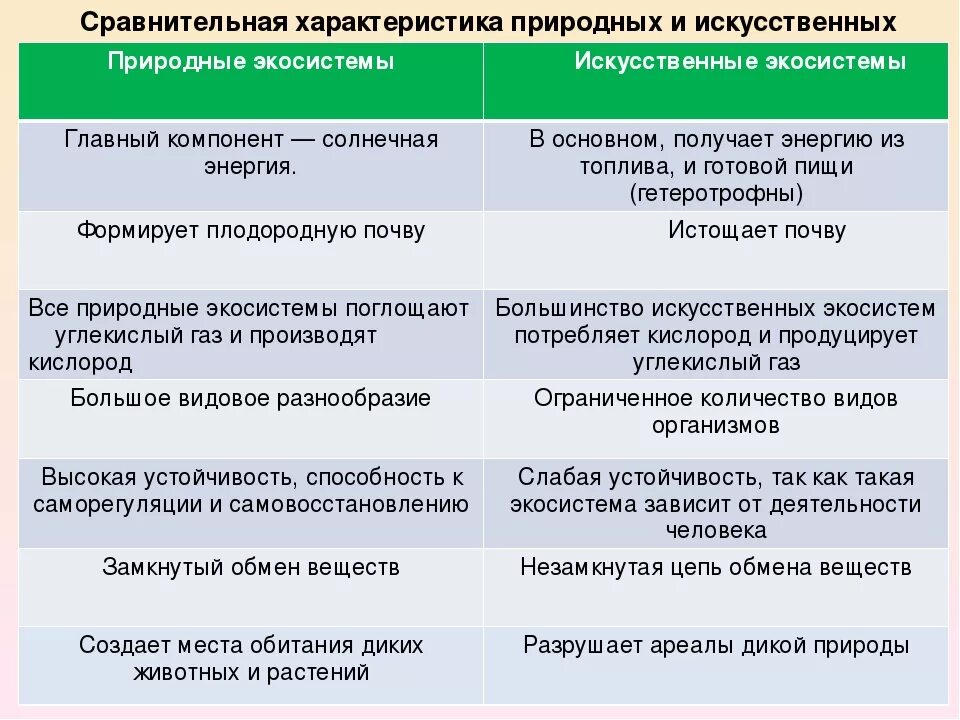 Сходство искусственной