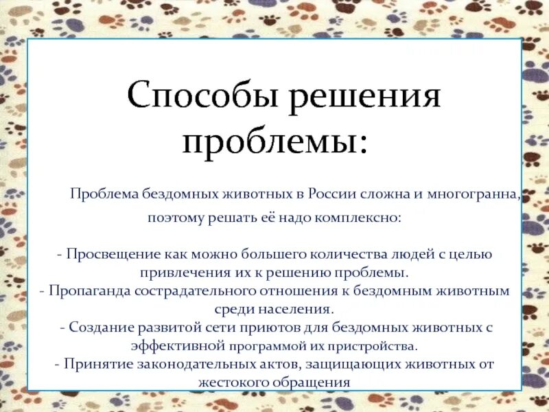 Как решить проблему с бездомными. Как решить проблему с бездомными