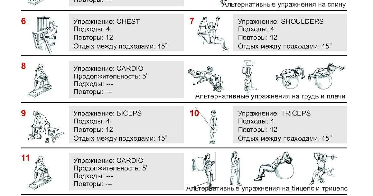 План тренировок в тренажерном зале в схеме. Схема тренировок в тренажерном зале для мужчин 3. План тренировок с гантелями для набора мышечной массы для спины. План тренировок для увеличения мышечной массы.