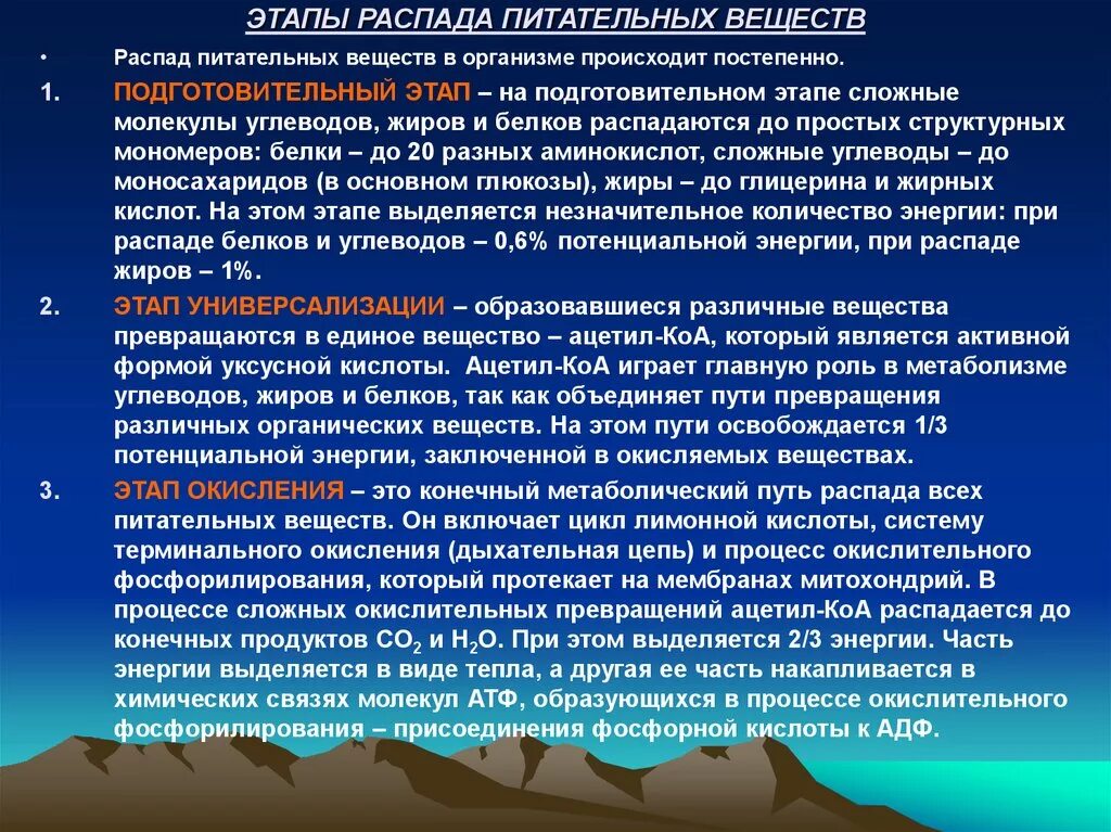 Этапы распада веществ. Этапы освобождения энергии в организме человека. Распад питательных веществ. Назовите основные этапы высвобождения энергии пищевых веществ. Распад веществ это