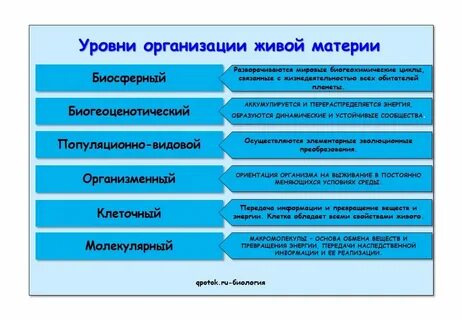 Методы и уровни биология