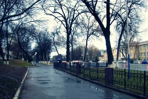 Погода в ташкенте в ноябре