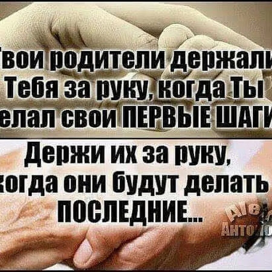 Когда руки есть то все есть