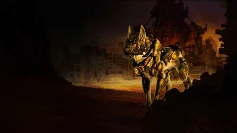 5 шакалов