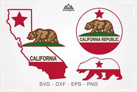 States bear