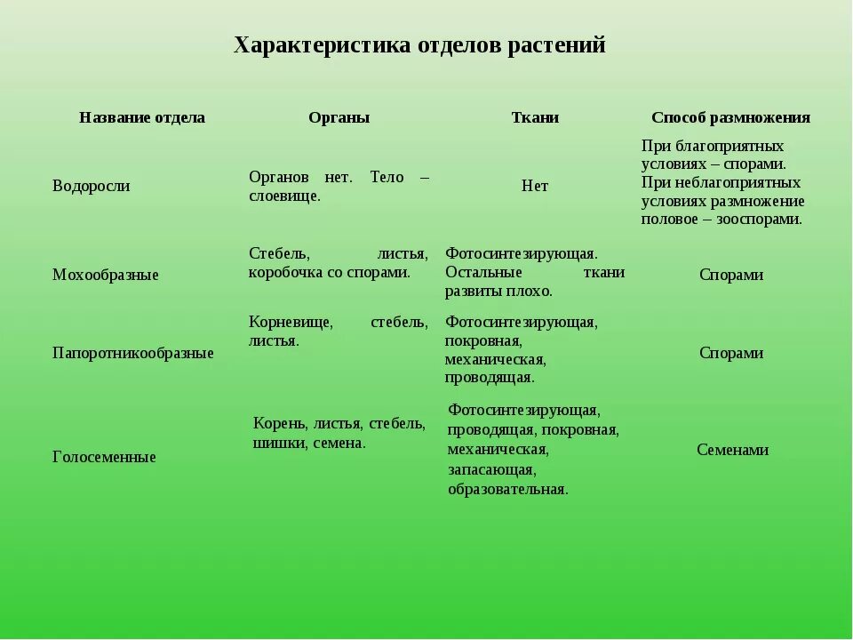 Папоротник в отличие от водорослей имеет. Характеристика отделов растений таблица 6 класс биология. Особенности отделов растений. Сравнительная характеристика отделов растений. Общая характеристика отделов растений.