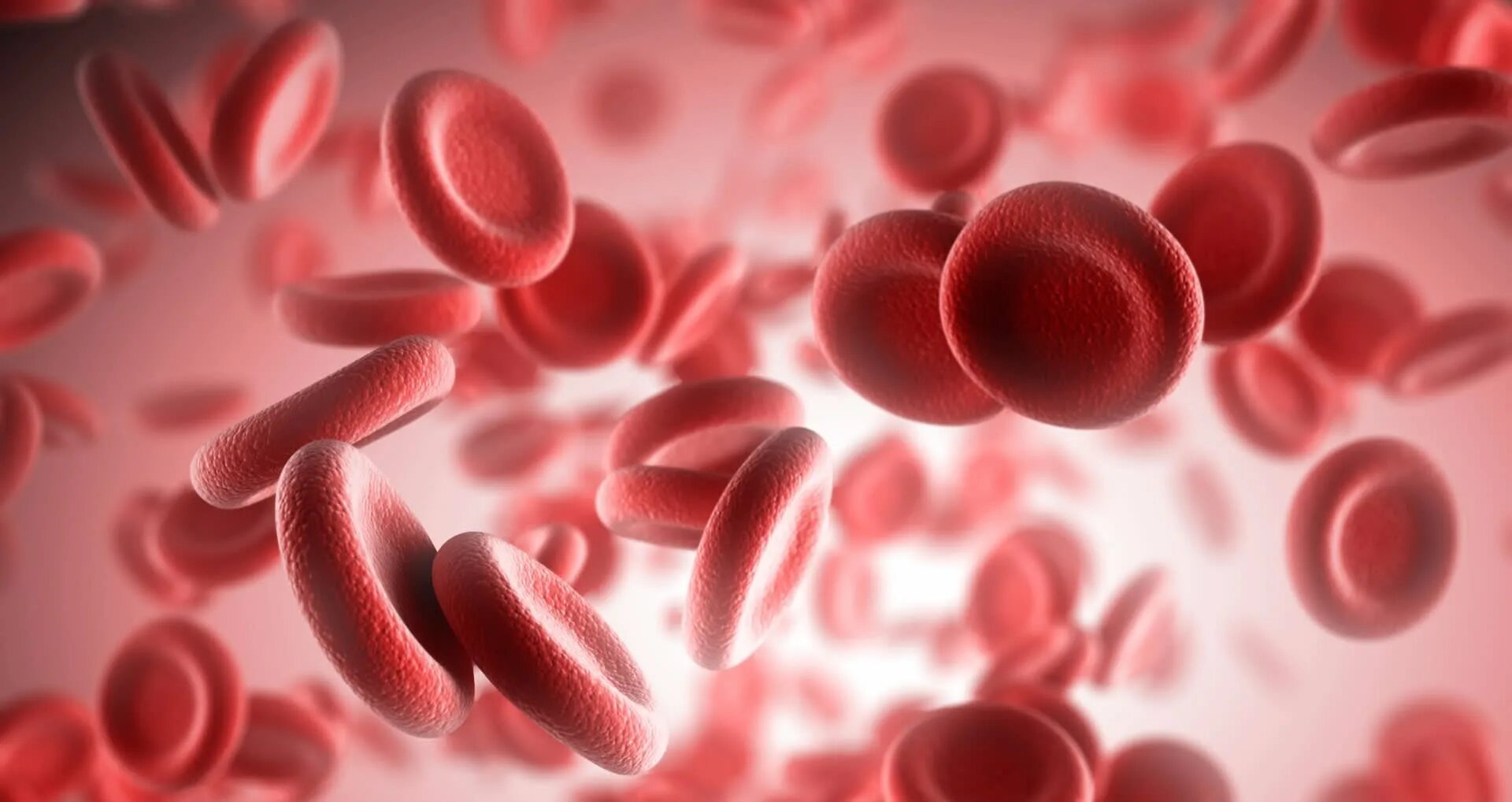 Анемия стоп. Эритроциты. Клетки крови. Эритроциты в крови анемия.