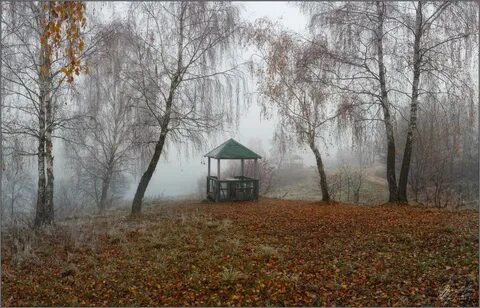 Поздняя осень стоят ненастные
