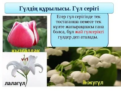 Үлкен сиськи орыс үй порно фото