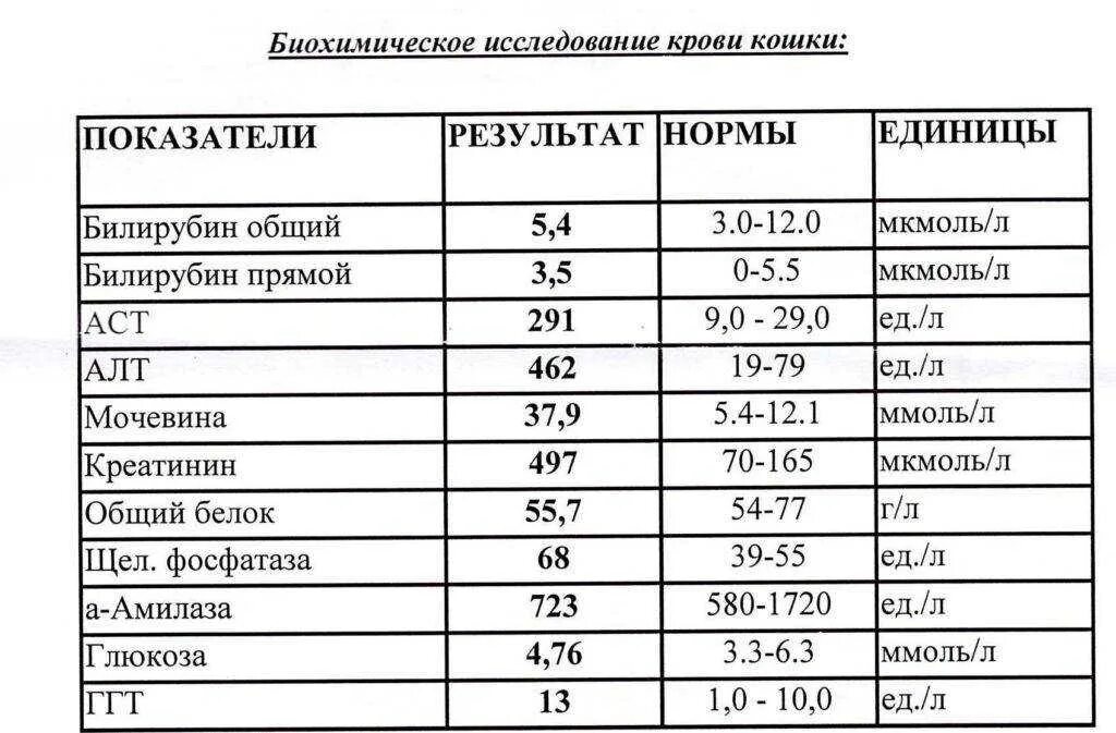 Анализ крови биохимия показатели нормы. Расшифровка анализа крови биохимия норма. Таблица нормальных показателей биохимии анализа крови. Биохимический анализ крови норма человек.