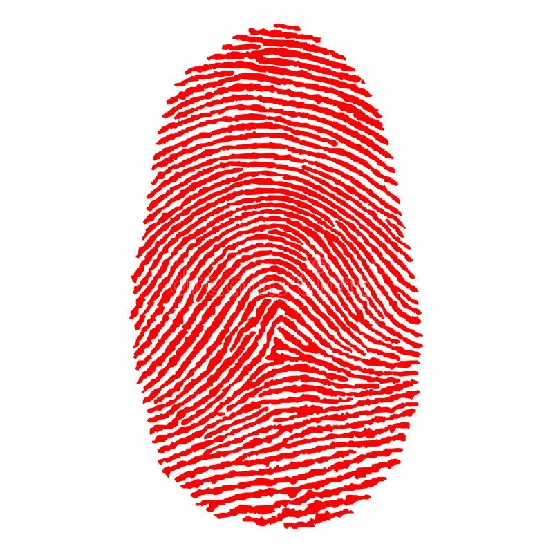 Отпечаток 6 букв. Отпечатки пальцев. Красный отпечаток пальца. Отпечаток пальца вектор. Отпечаток пальца на прозрачном фоне.