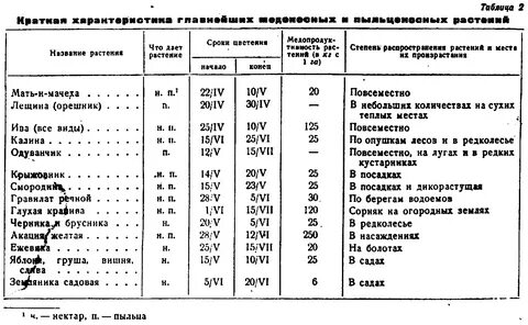 1 кг нектара