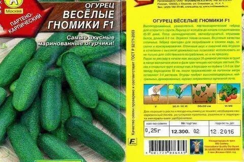 Описание огурцов веселые гномики