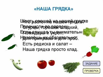 Какие витамины в редиске