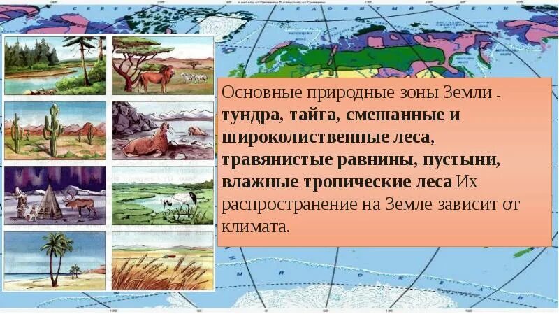 Растительность природных зон земли биология. Природные зоны земли. Природные зоны иллюстрации. Схема природных зон. Природно-климатические зоны земли.