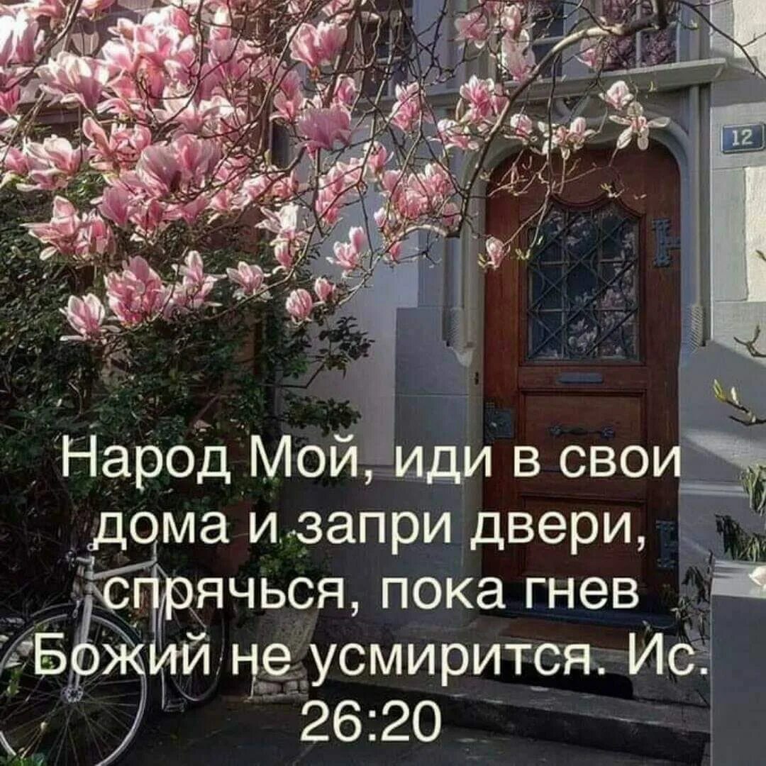 Иди в мой дом