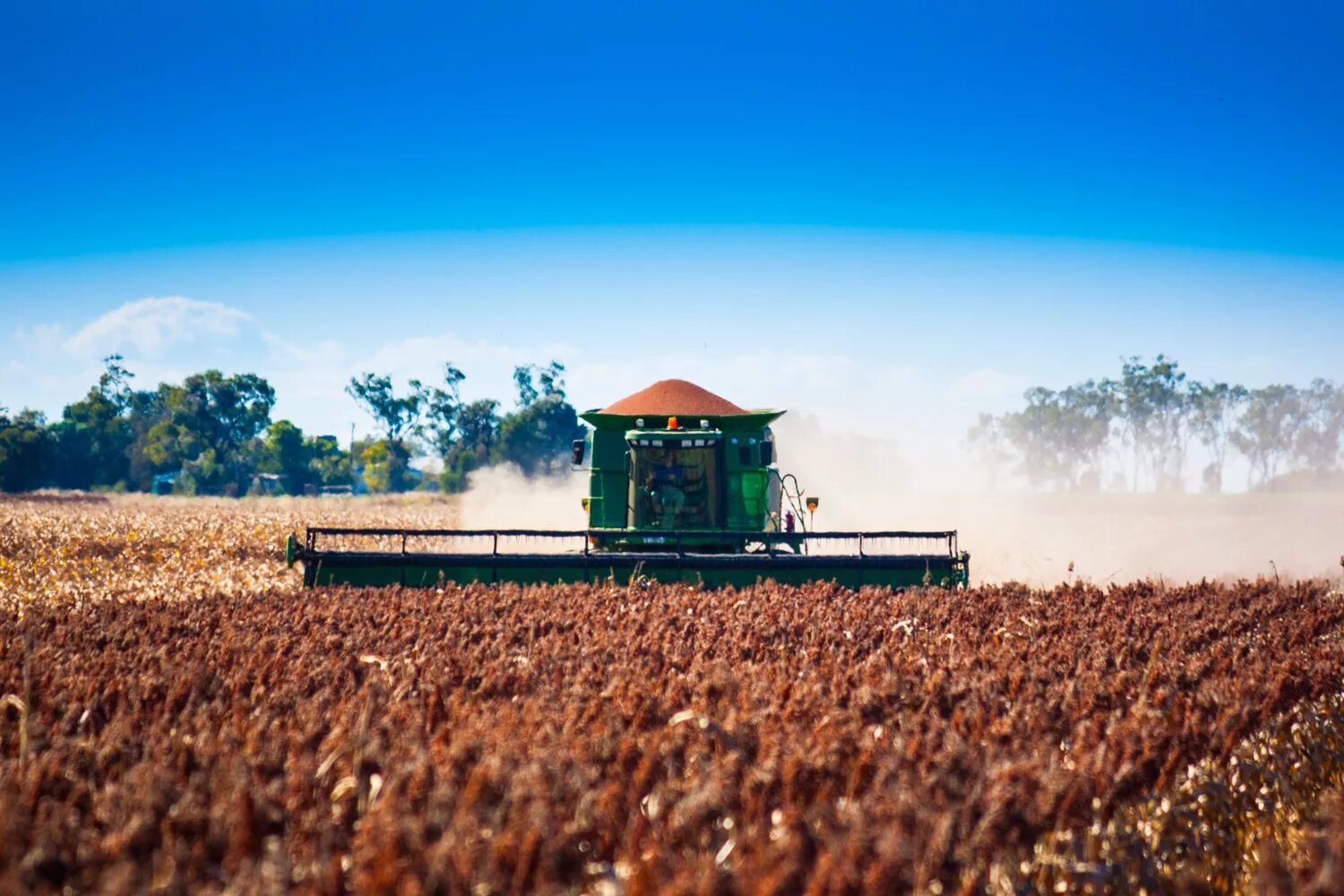 Пашни австралии. Земледелие в австралии. Северная австралия сельское хозяйство. Земледелие в австралии. Земледелие в австралии.