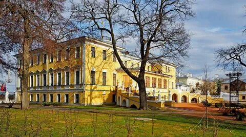 Домашний ярославль
