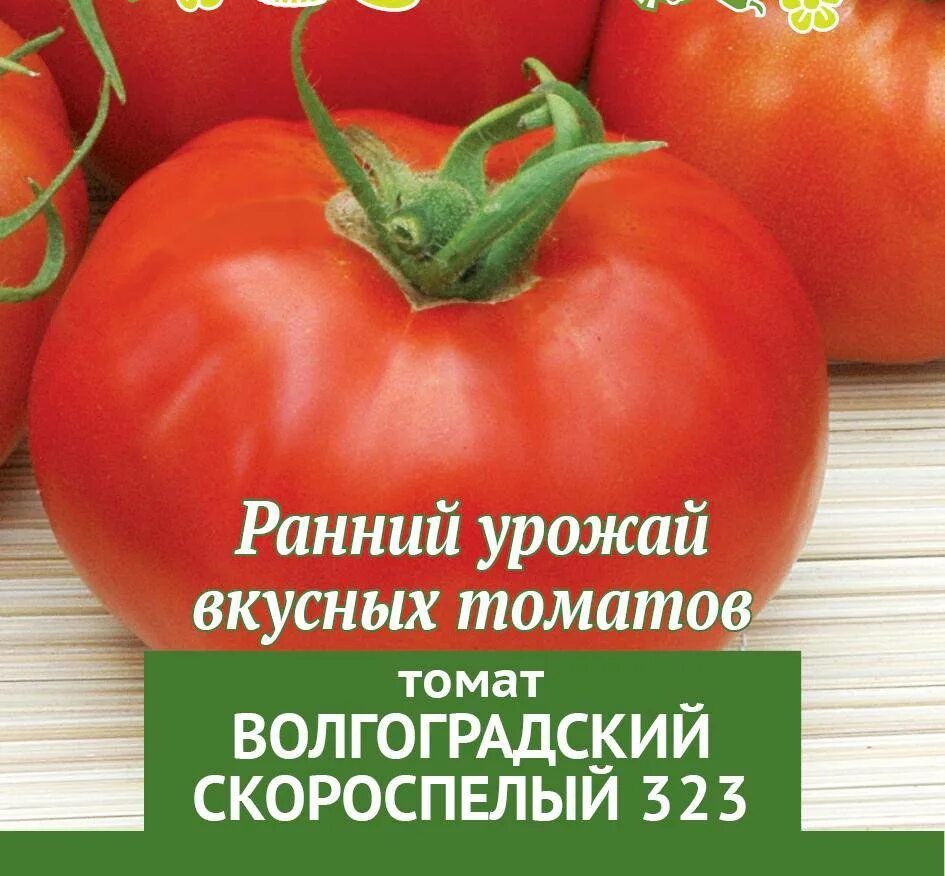 Томат волгоградский скороспелый урожайность. Томат Волгоградский скороспелый 323. Томат сорт Волгоградский скороспелый. Томат Волгоградский скороспелый 323 описание. Томаты сорта Волгоградский 323.