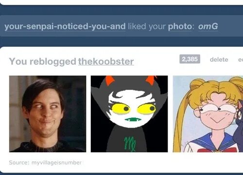 Песня please notice me senpai. Нотис ми семпай. Wolfychu. Плиз нотис ми семпай текст. Нотис ми семпай.