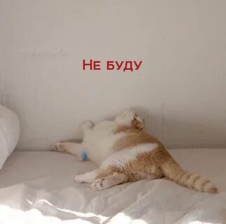 Утры