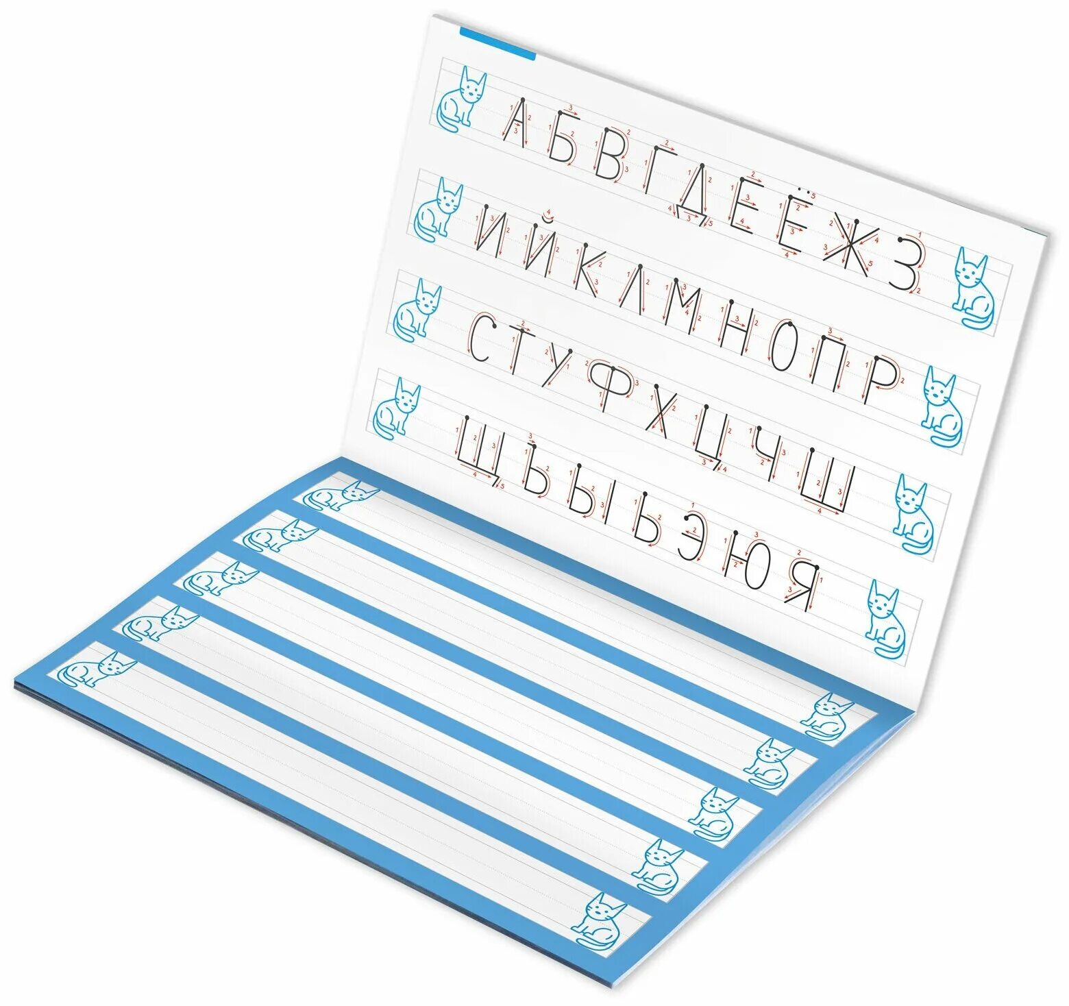 как писать буквы для детей 4-5. буква типагравсково набор. буква типографского набора. "азбука". правильное написание печатных букв в клеточках.