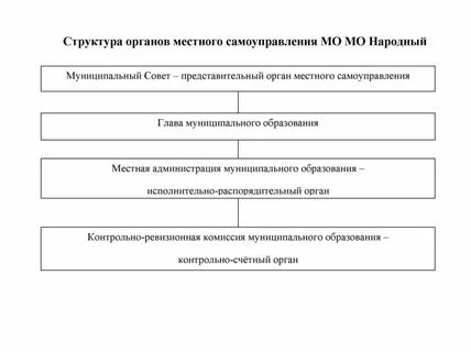 Структура медицинского фонда