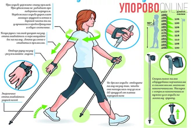 Скандинавская ходьба урок начинающим. Скандинавская ходьба схема. Правильная ходьба с палками для скандинавской ходьбы. Скандинавская ходьба с палками для пожилых. Правильная техника ходьбы со скандинавскими палками.