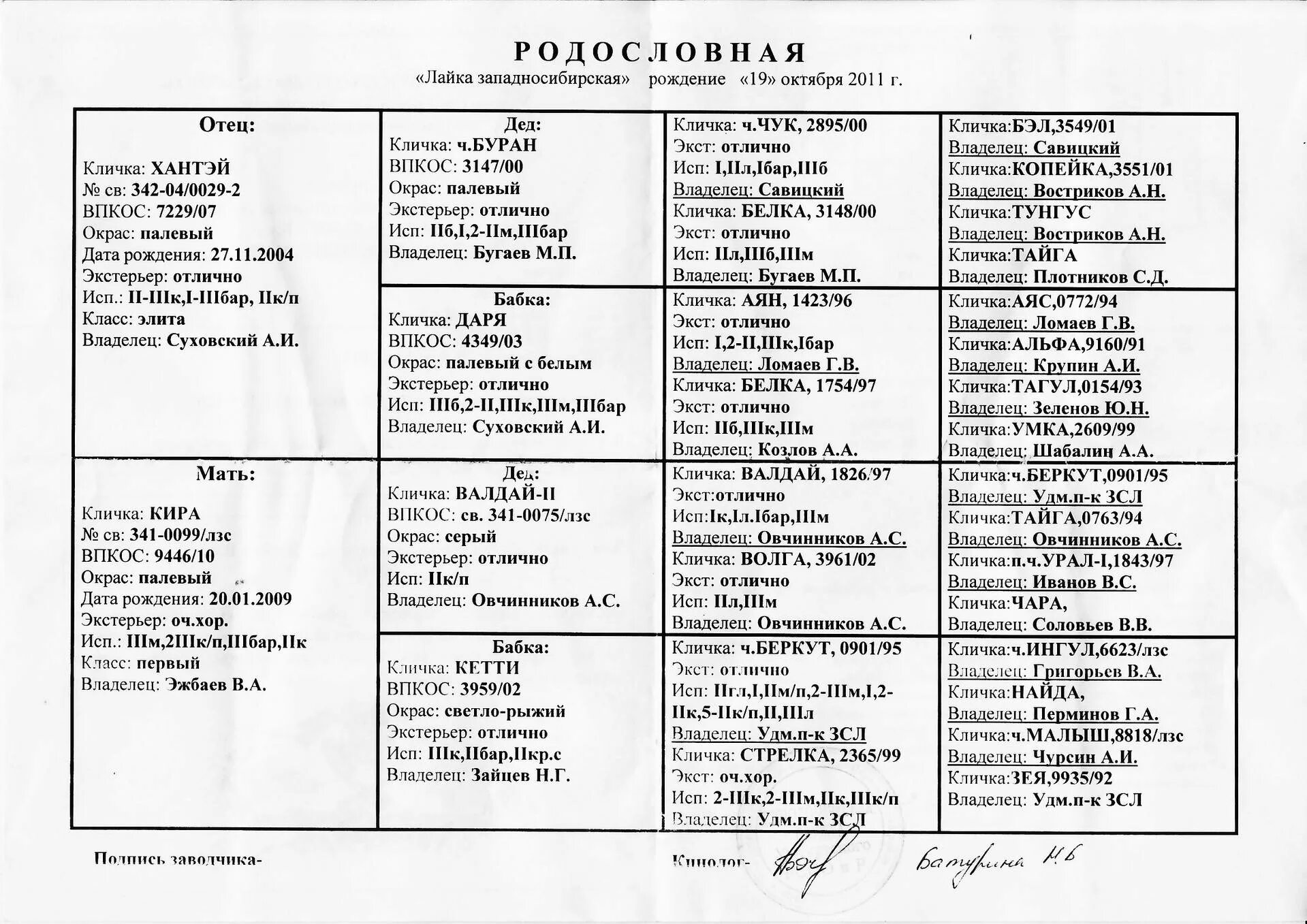 Клички западно сибирских лаек охотничьих. Клички охотничьих собак кобелей лаек западно сибирских. Клички зсл девочек. Характеристика западно сибирской лайки собаки. Кличка западносибирской лайке.