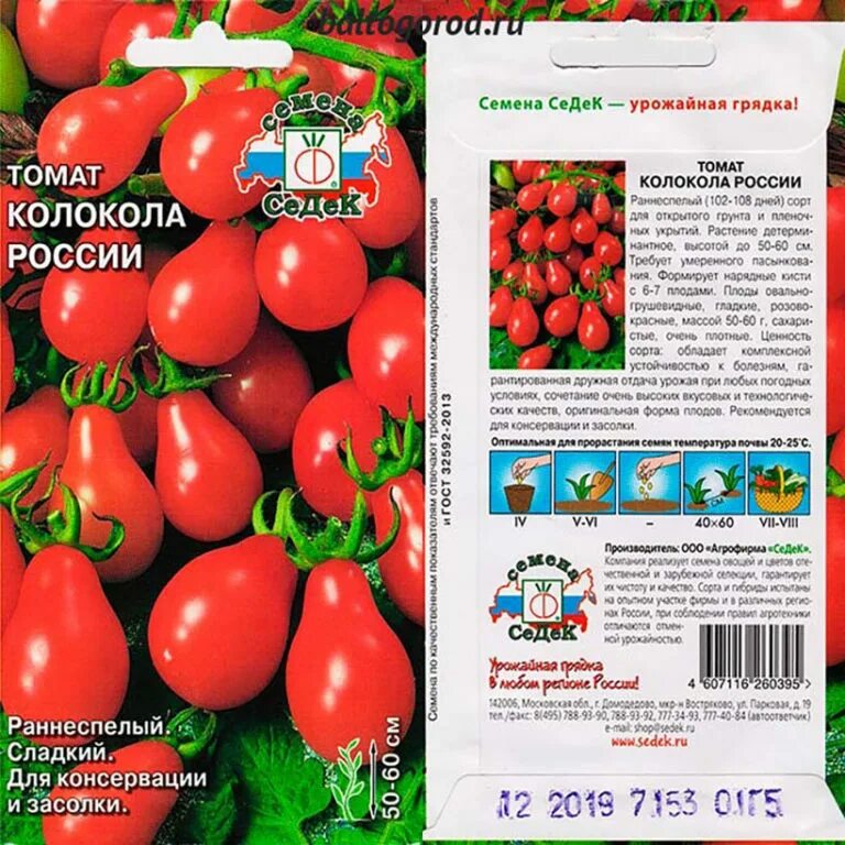 Томат колокола России СЕДЕК. Сорт помидор русские колокола. Русские колокола томаты описание сорта. Томаты колокола России описание.