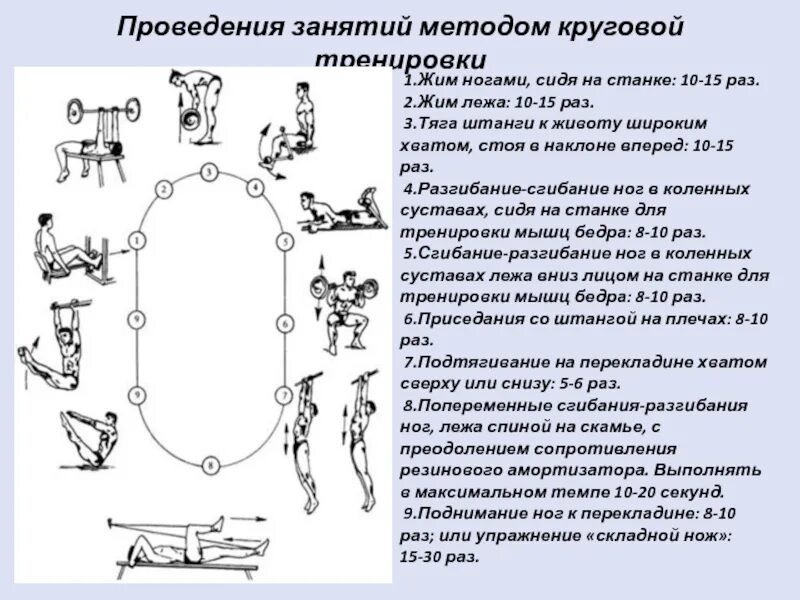 Упражнения для круговой тренировки. Готовый комплекс упражнений круговой тренировки. Схема круговой тренировки. Алгоритм круговой тренировки. Кольцевой метод