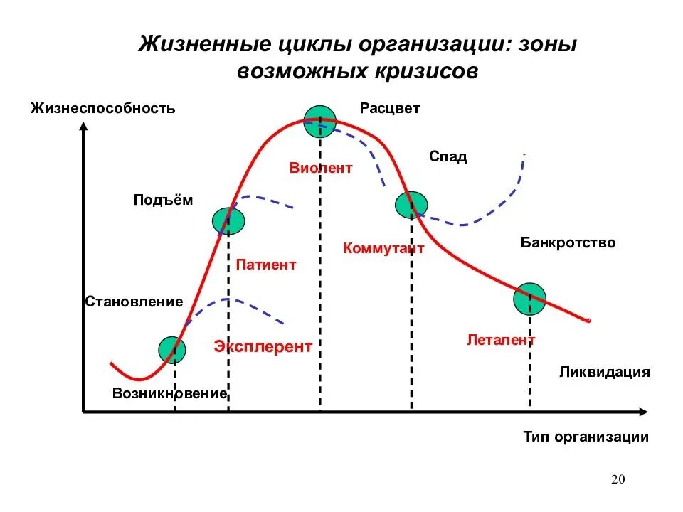 Фазы жизненного цикла фирмы. Стадии жизненного цикла фирмы. Стадия (фаза) жизненного цикла предприятия. Этапы жизненного цикла организации схема.