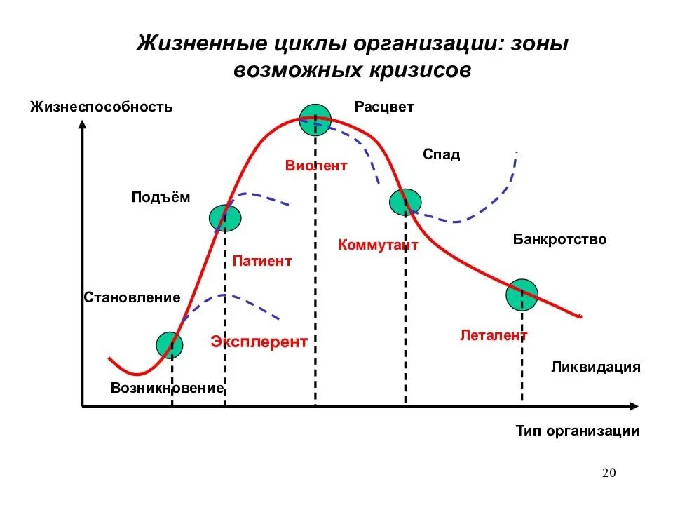 Жизненный цикл культуры