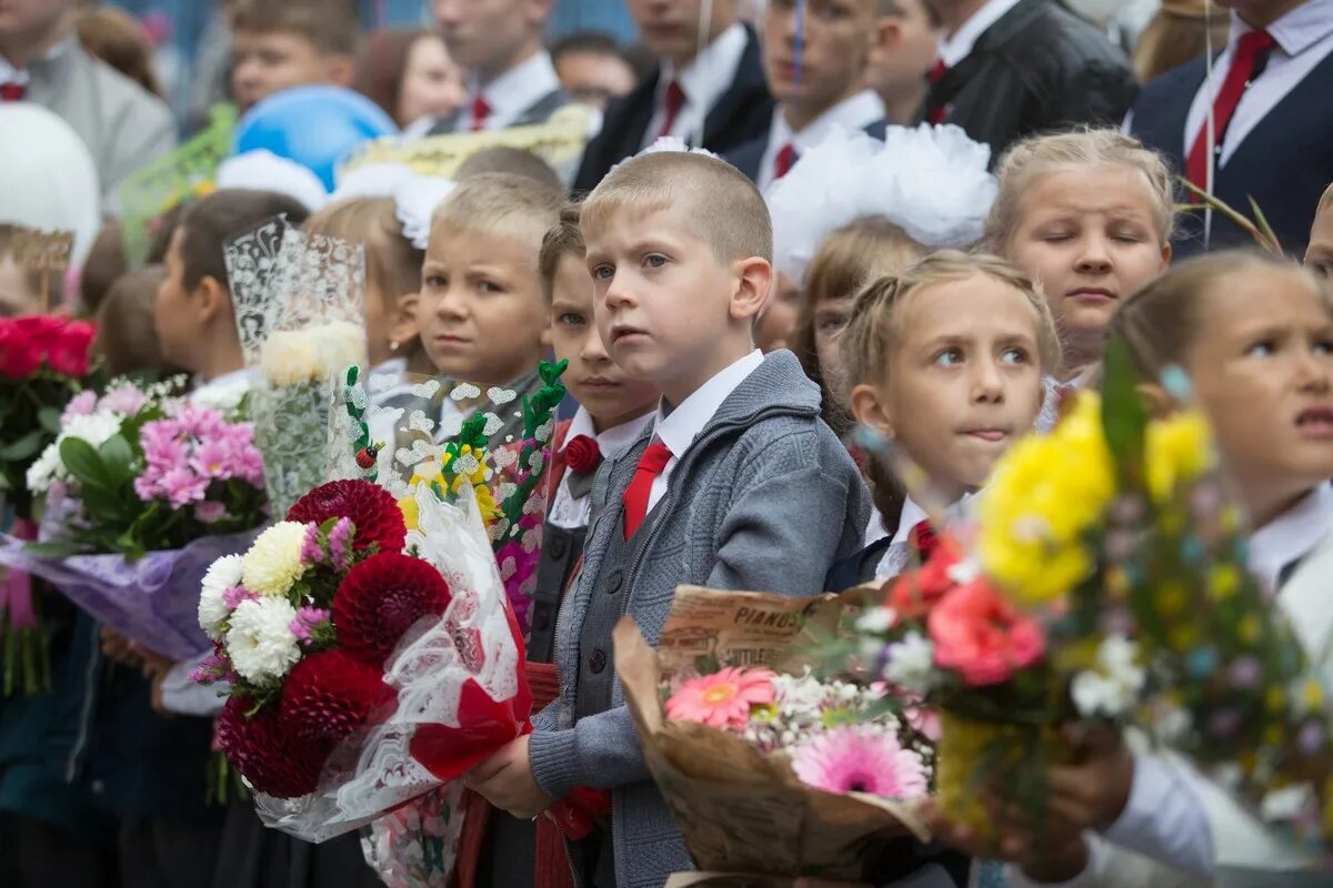 Школа номер 155 самара. Школа ключ камышенское плато новосибирск. Сайт школы 155. Сайт школы 155. Сайт школы 155.