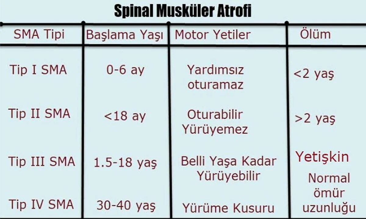 Sma типы. Spinal muscular Atrophy.