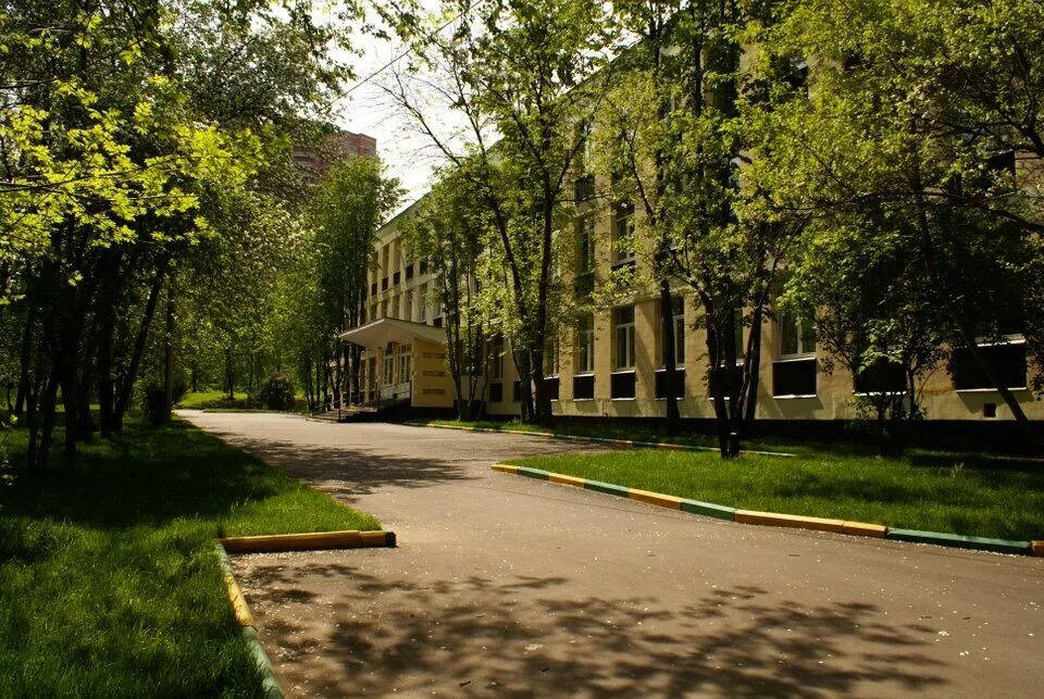 Сборник фотографий