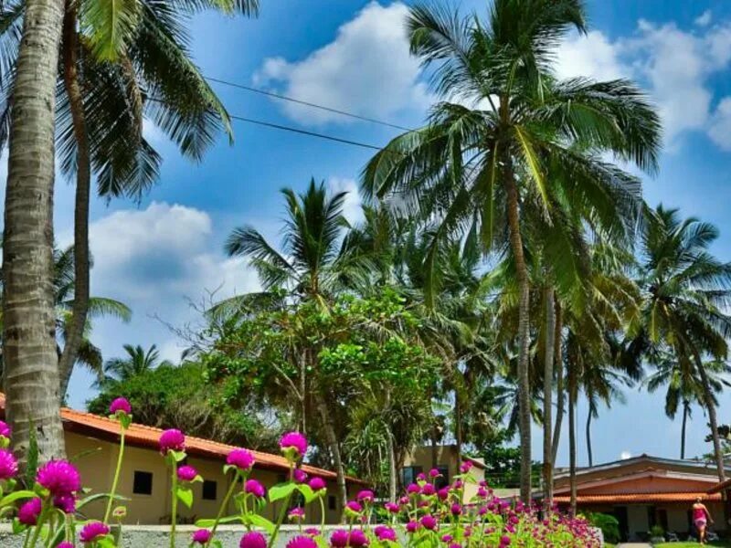 Амаджи Бич Шри Ланка. Amagi Beach. Amagi Beach Шри-Ланка Hotel.