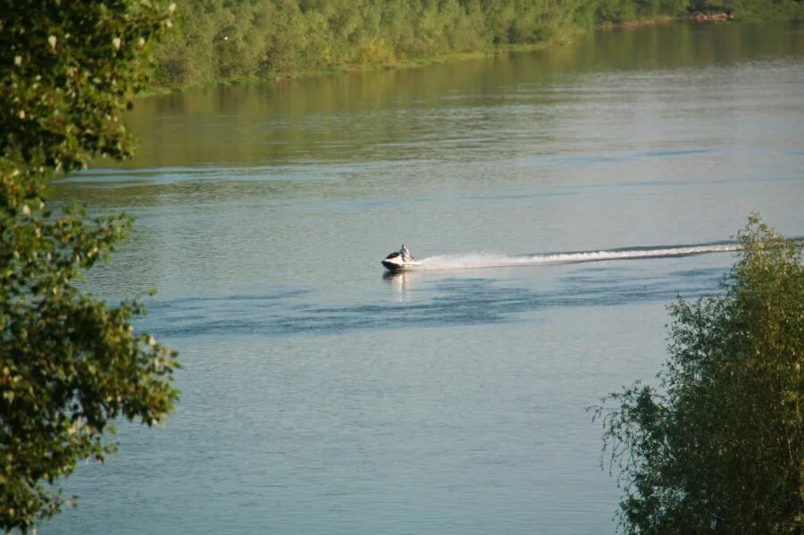 Вода в бии на сегодня. Реки Алтайского края. Река Бия в Бийске. Речка Неня Алтайский край. Река Чумыш Алтайский край.