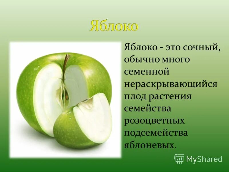 Дышат ли плоды растений. Строение плода яблока. Описание яблока. Описать яблоко.