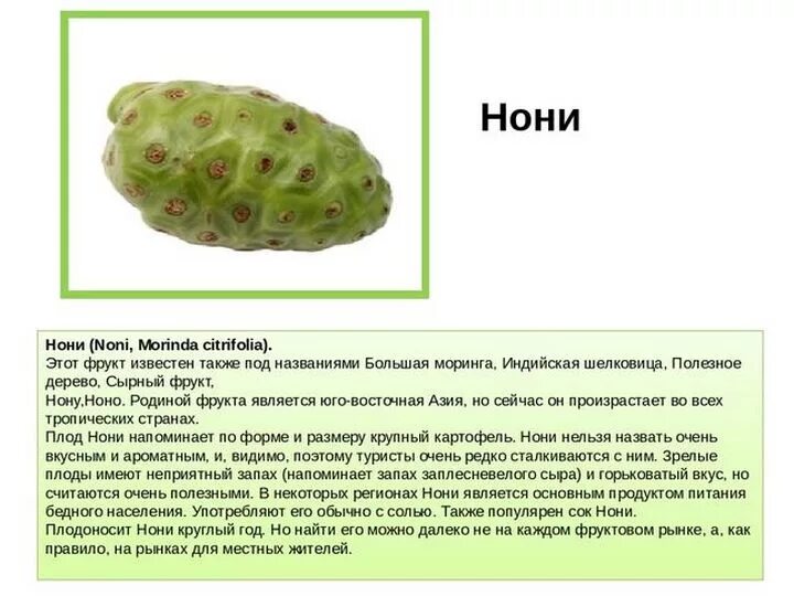 Нони описание