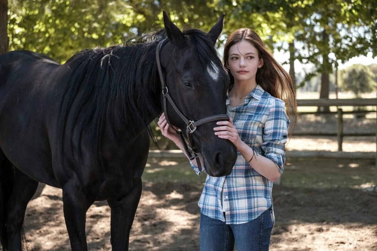 Black beauty песня. Черный красавец. Black is black. Маккензи фой на лошади. Черный красавец.