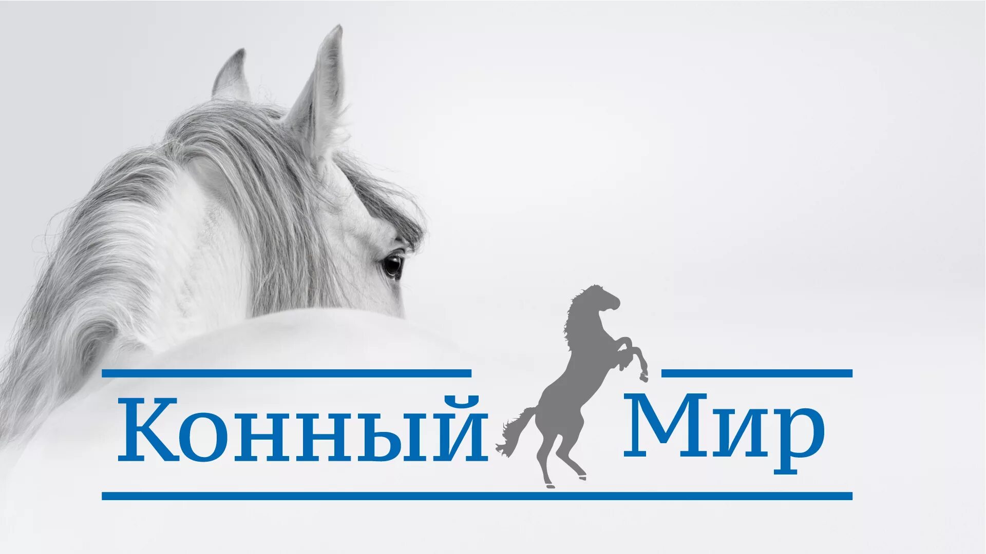 Конный мир. Телеканал конный мир эмблема. Телеканал конный мир эмблема. Я познаю мир лошади. Конный мир программа.